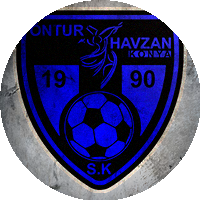 Logo Havzanspor
