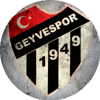 Logo Geyve Spor