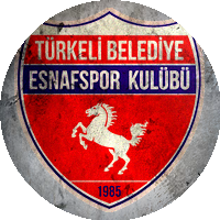 Logo Türkeli Belediye Esnafspor