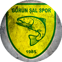 Logo Gürünşalspor