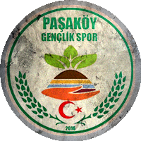 Logo Paşaköy Gençlik Spor