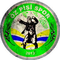 Logo Özpisi Spor