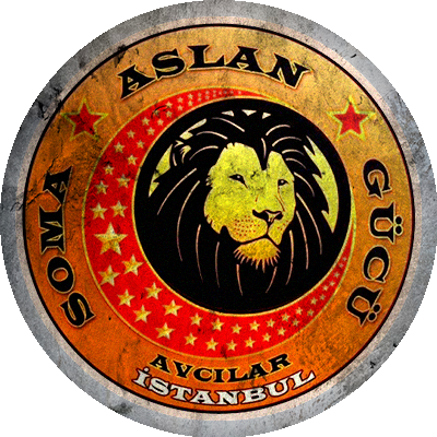 Logo İstanbul Aslan Gücü Futbol Kulübü