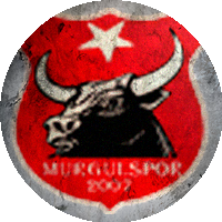 Logo Bakır Spor