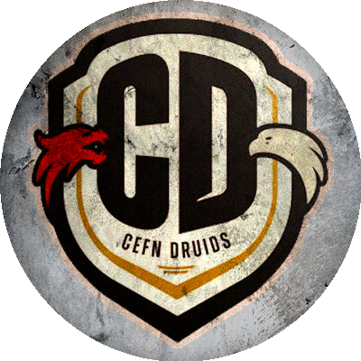 Logo Ruabon Druids FC