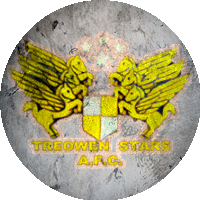 Logo Treowen Stars