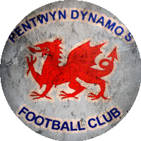 Logo Pentwyn and Llanedeyrn Dynamos