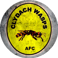 Logo Clydach Wasps