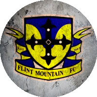 Logo Flint Mountain