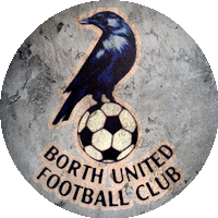 Logo Borth United