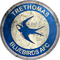 Logo Trethomas Bluebirds