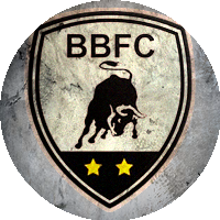 Logo Trearddur Bay Football Club