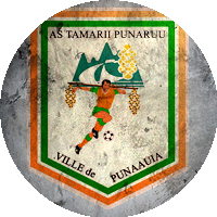 Logo Association Sportive Tamarii Punaruu