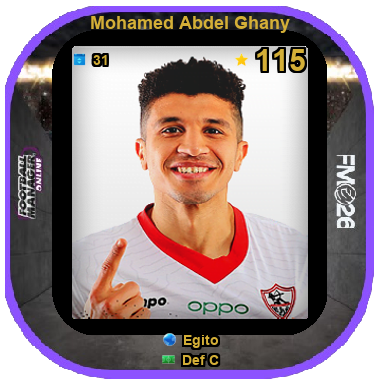 Mohamed Abdel Ghany