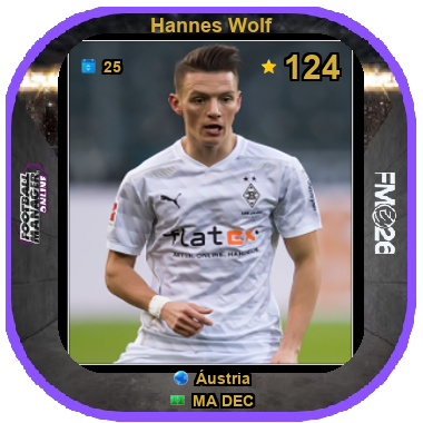 Hannes Wolf