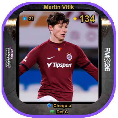 Martin Vitík