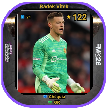 Radek Vítek