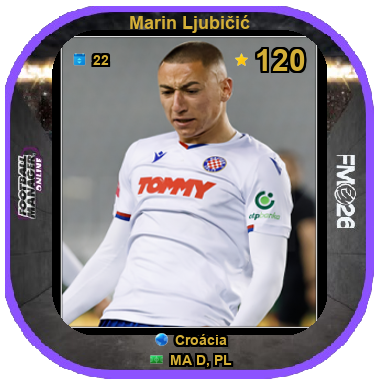 Marin Ljubičić