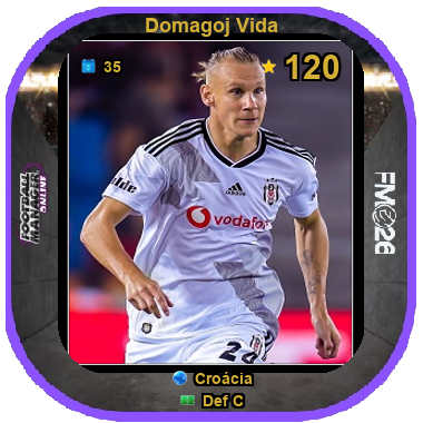 Domagoj Vida