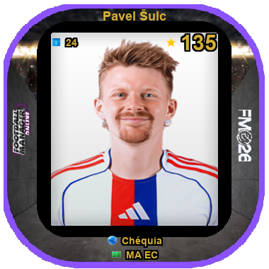 Pavel Šulc
