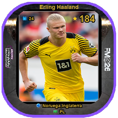 Erling Haaland
