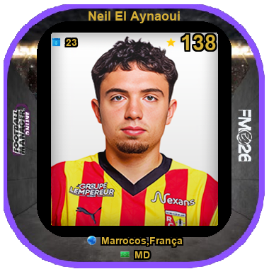Neil El Aynaoui