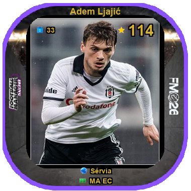 Adem Ljajić