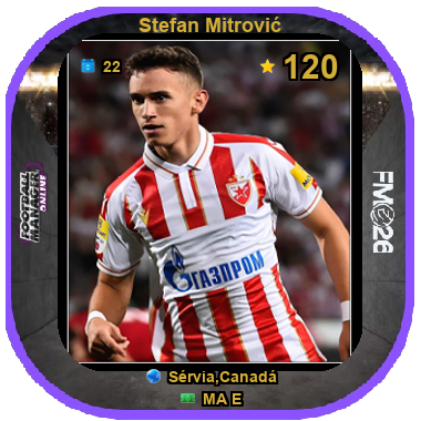 Stefan Mitrović