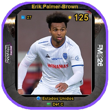 Erik Palmer-Brown